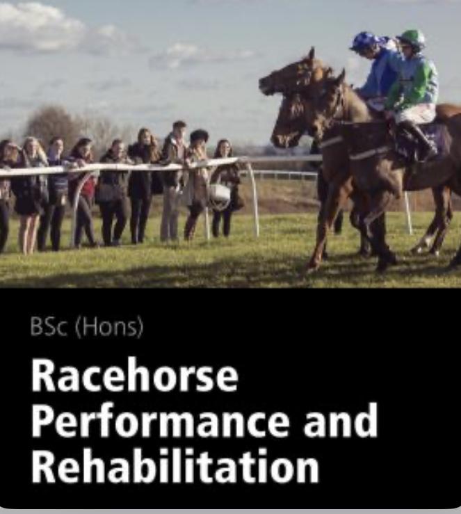 Racehorse performance and rehabilitation